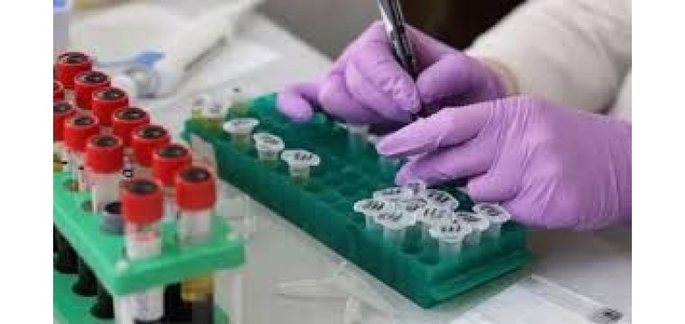 হংকংয়ে নতুন ভাইরাস শনাক্ত, কতটা ভয়াবহ