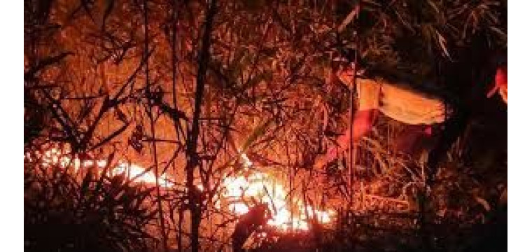 চাঁপাইনবাবগঞ্জে রাতের আঁধারে বাথানবাড়ি জ্বালিয়ে দিল দুর্বৃত্তরা