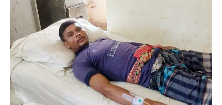 চাঁপাইনবাবগঞ্জের শিবগঞ্জে রাসেলস ভাইপারের কামড়ে হাসপাতালে কৃষক