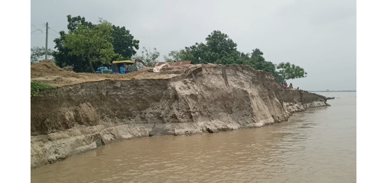 চাঁপাইনবাবগঞ্জে পদ্মা নদীতে বিলীন শতশত ঘরবাড়ি ও কৃষিজমি