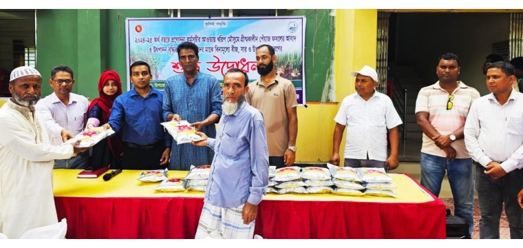 ভোলাহাটে গ্রীষ্মকালীন পেঁয়াজের বীজ ও রাসায়নিক সার বিতরণ 