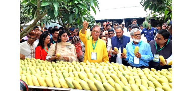 দেশের আম রপ্তানি বাড়াতে কাজ করছে সরকার: কৃষিমন্ত্রী 