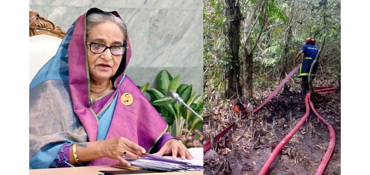 সুন্দরবনে আগুন কেন, গভীরভাবে খতিয়ে দেখার নির্দেশ প্রধানমন্ত্রীর
