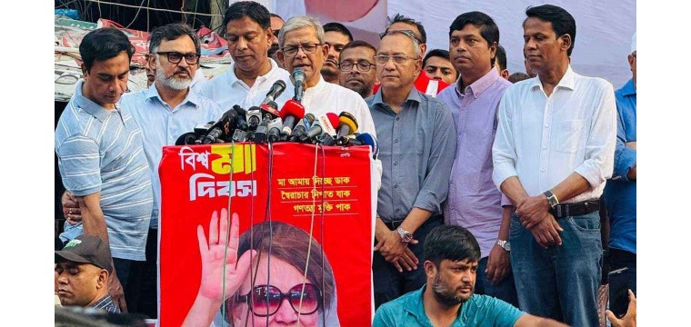 দেশ চালাচ্ছে অদৃশ্য শক্তি : মির্জা ফখরুল