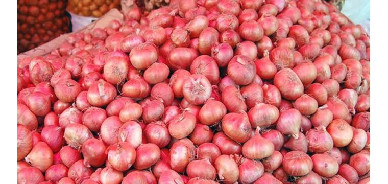 যে কারণে ভারত থেকে পেঁয়াজ আমদানি হচ্ছে না