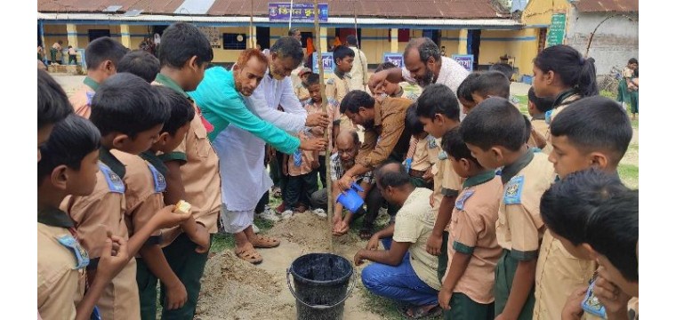 রহনপুর কুরআনের আলো সংগঠনের উদ্যোগে বৃক্ষরোপণ কর্মসূচি পালন