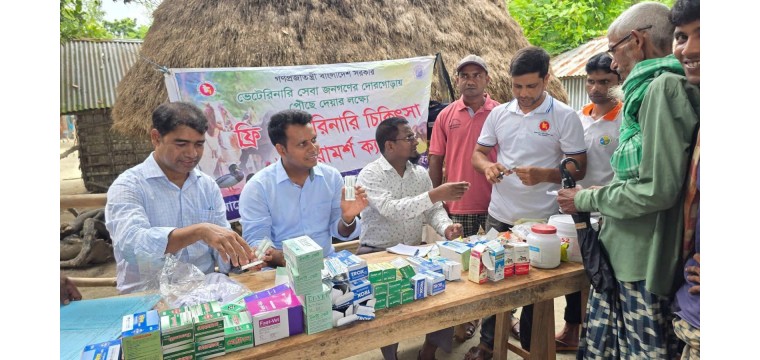 শিবগঞ্জে বন্যা দুর্গতদের পাশে উপজেলা প্রশাসন প্রাণীসম্পদ দপ্তরের, বিনামূল্যে চিকিৎসা ও ঔষধ বিতরণ