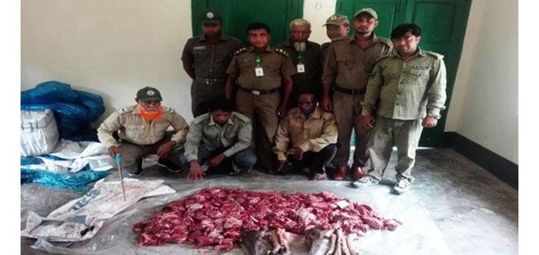 সুন্দরবন থেকে ৩০ কেজি হরিণের মাংস জব্দ, আটক ৩