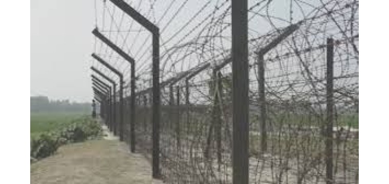 নওগাঁর সীমান্ত দিয়ে ১০ জনকে ঠেলে পাঠাল বিএসএফ