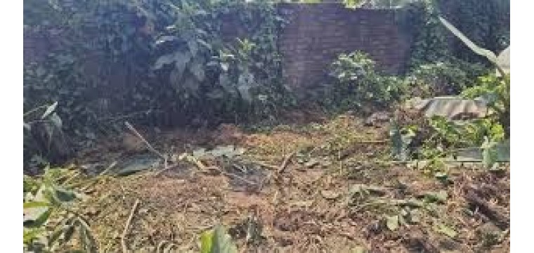 রাতের আঁধারে গরু চুরি করে জবাই, টের পেলো না কেউই