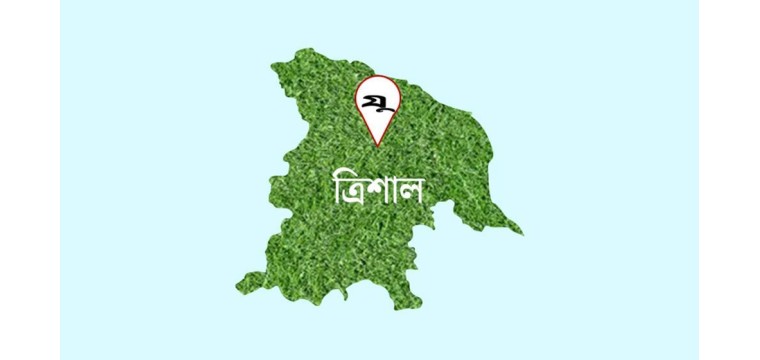 বিএনপি নেতার নেতৃত্বে সাংবাদিকদের ওপর হামলা, আহত ৪