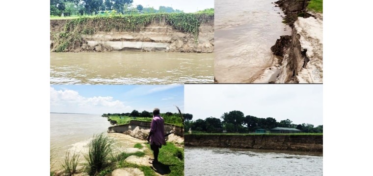চাঁপাইনবাবগঞ্জে পদ্মার ভয়াল ভাঙন: বিলীন দুই শতাধিক ঘরবাড়ি, স্থায়ী বাঁধ নির্মাণের কাজ শুরু শিগগিরই