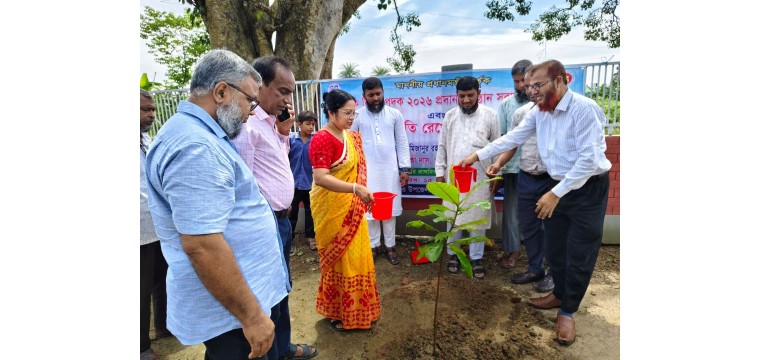 নাচোলে সরকারি প্রাথমিক বিদ্যালয়ে দেশব্যাপী বৃক্ষরোপণ কর্মসূচির উদ্বোধন