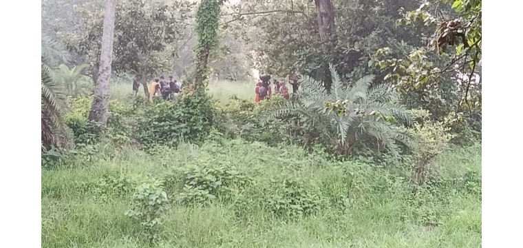 চাঁপাইনবাবগঞ্জ সীমান্তে ২৮ বাংলাদেশিকে ‘পুশ-ইন’ করল বিএসএফ